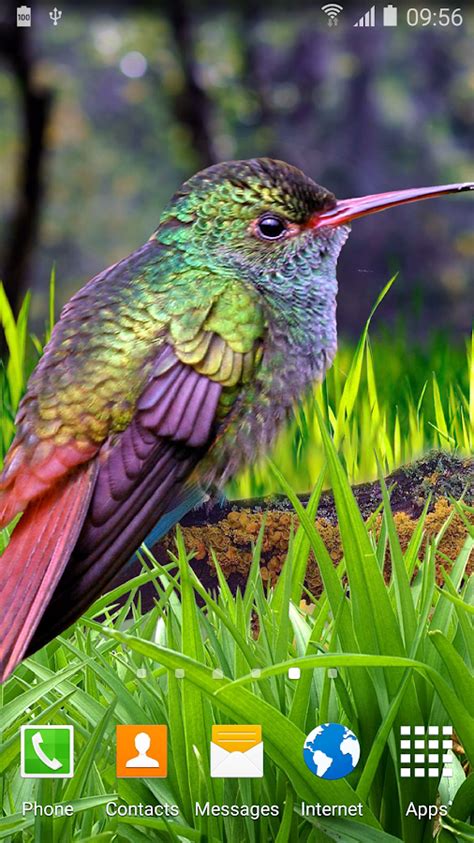 Android Apps by Hummingbird Mobile Games on Google Play.